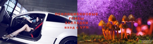 героин Каменка