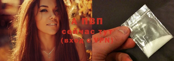 винт Касимов