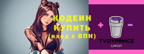 героин Каменка