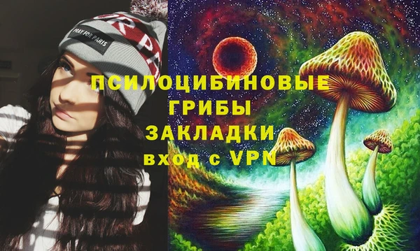 прущая мука Инсар