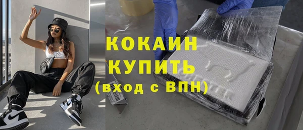 МДПВ Инта