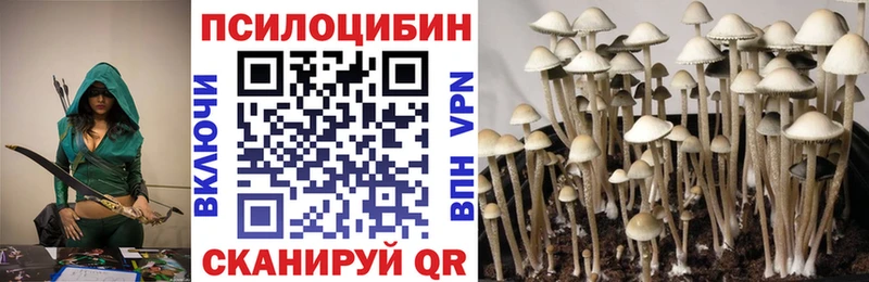 Галлюциногенные грибы MAGIC MUSHROOMS  где найти   Киренск 